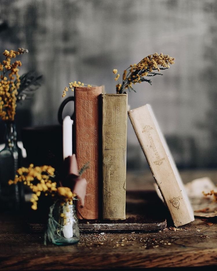 8 Books to Motivate your NaNoWriMo Project