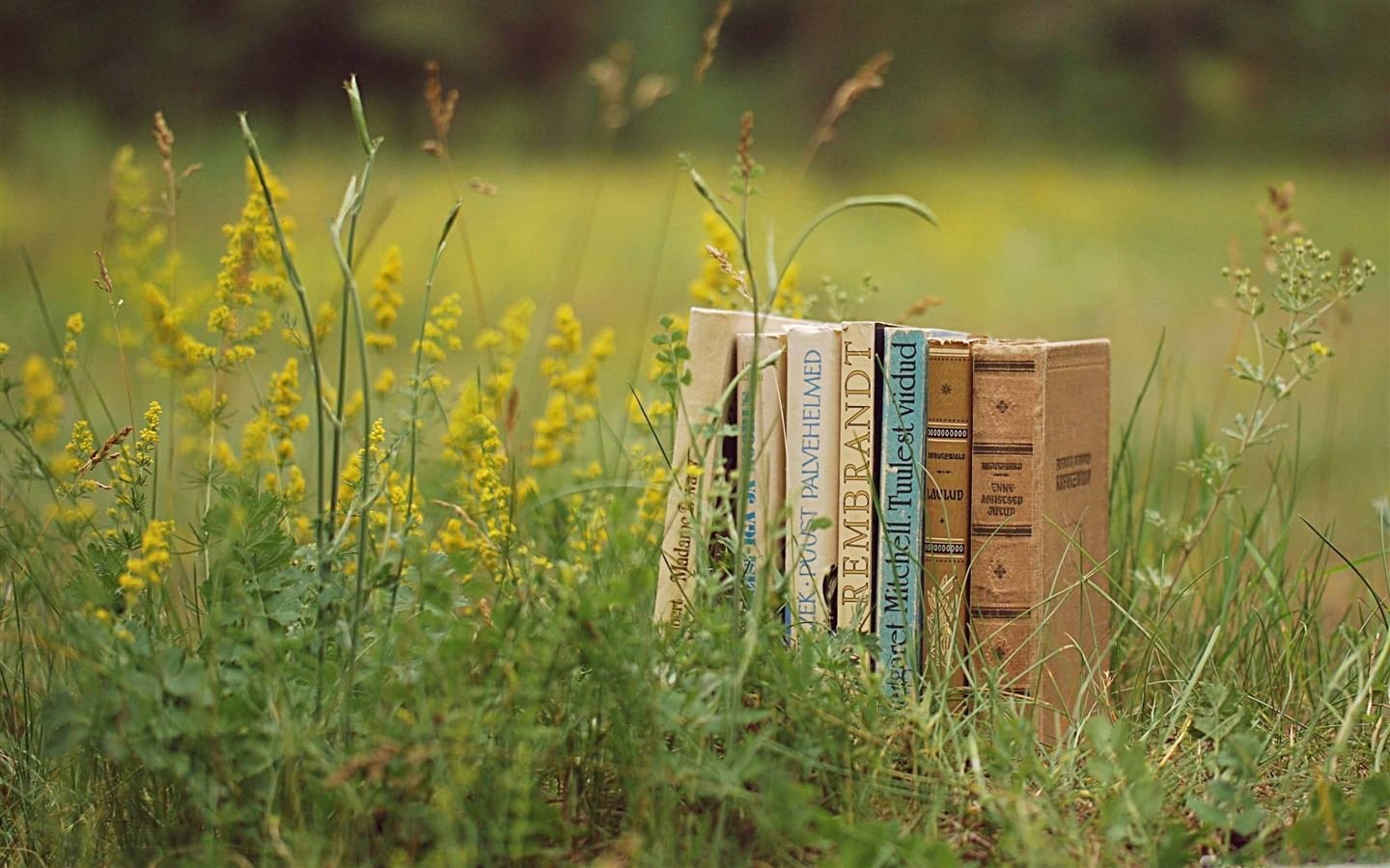 12 Books for Your Spring Reading List